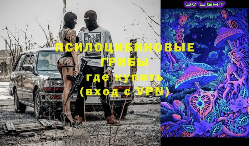 купить   MEGA ссылки  Псилоцибиновые грибы Psilocybe  Кольчугино 